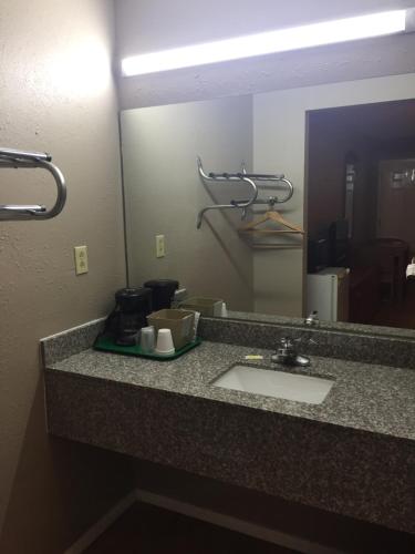 a bathroom counter with a sink and a mirror at Deerfield Inn New Johnsonville in New Johnsonville