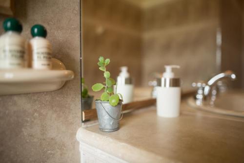 a potted plant on a bathroom counter next to a sink at Hostería El Pilar in El Chalten