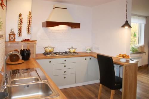 a kitchen with a sink and a stove at Młynarzowa Chata in Lesko