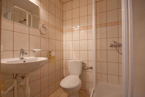 ザコパネにあるWilla Otulina pod Giewontemのバスルーム(トイレ、洗面台付)