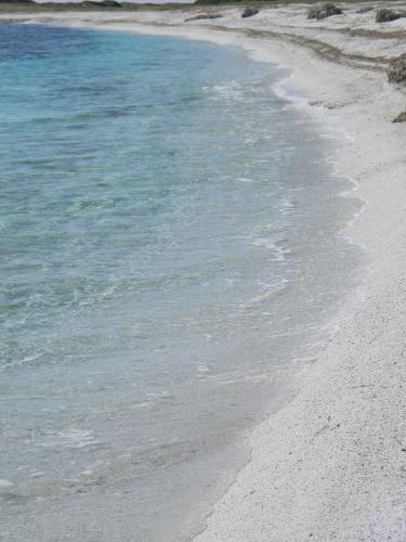a sandy beach with blue water and the ocean at Is Benas Country Lodge in San Vero Milis