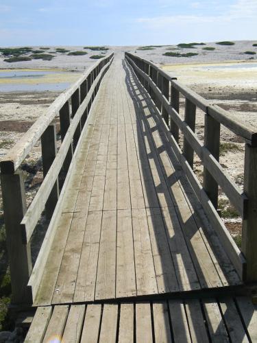 a wooden boardwalk stretches across the beach at Is Benas Country Lodge in San Vero Milis