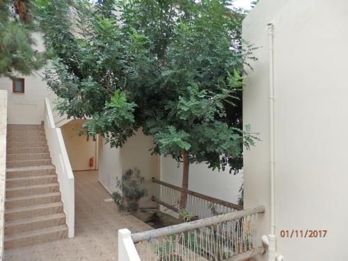a tree on the side of a building with stairs at Ravdoucha Beach Studios in Ravdhoúkha