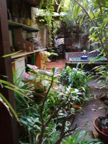 Κήπος έξω από το The Garden
