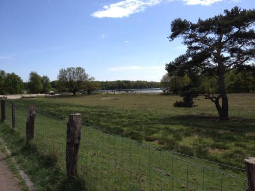 una cerca en un campo con un árbol y un lago en Ferienhaus Strandperle, en Garrel