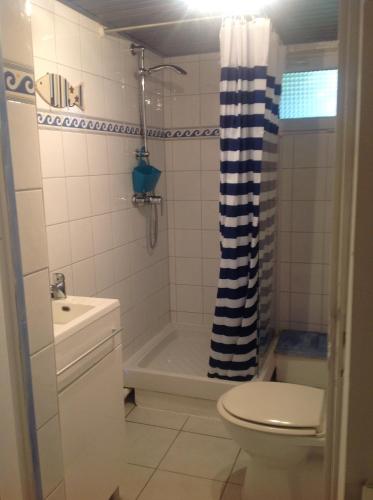 y baño con aseo, lavabo y ducha. en Gîte CHEZ VÉRO, en Breitenbach-Haut-Rhin