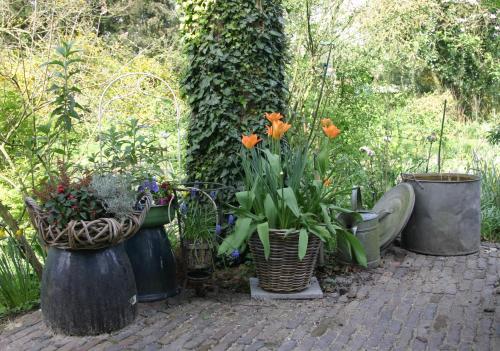 a group of vases and flowers in a garden at Huys en Hoff Aen Den Haspel in Oirschot
