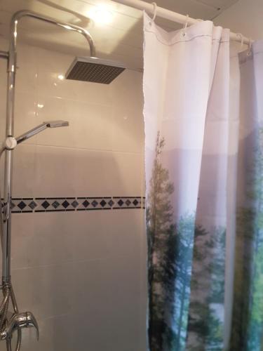 eine Dusche mit Duschvorhang im Bad in der Unterkunft Evy's place in Zandvoort