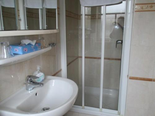 a bathroom with a sink and a shower at Behrs Hof in Scharmbeck