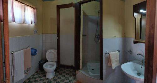 a bathroom with a toilet and a sink at Hotel le Trianon in Antsirabe