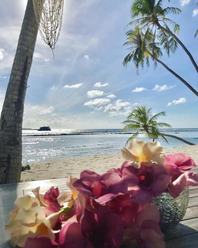 a bowl of flowers on a table on the beach at Samura Maldives Guest House Thulusdhoo in Thulusdhoo