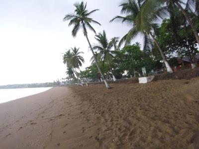 a sandy beach with palm trees and the ocean at VIP House-Praia Francesca in São Tomé