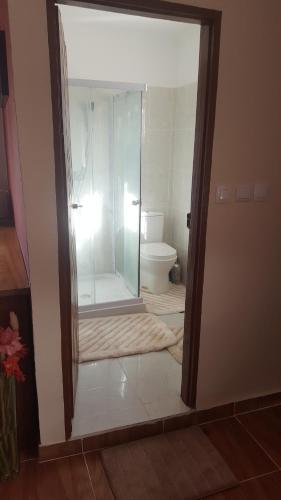 a bathroom with a glass shower with a toilet at VIP House-Praia Francesca in São Tomé