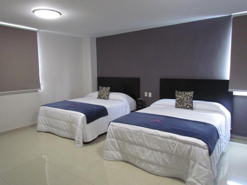 a hotel room with two beds in a room at Hotel HAUS Express in Orizaba