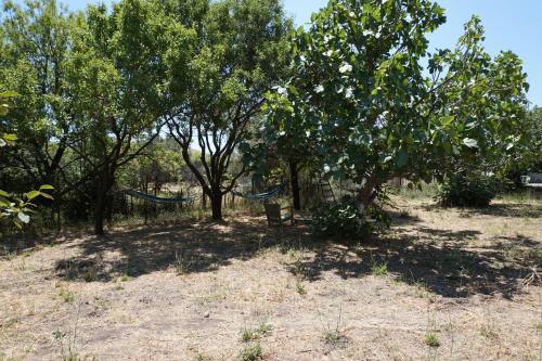 a group of trees with a hammock between them at Chalantra Residence in Skala Eresou