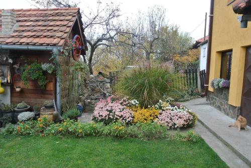 a garden of flowers in front of a house at Apartmani Mali Raj Rudnik in Rudnik Kačerski