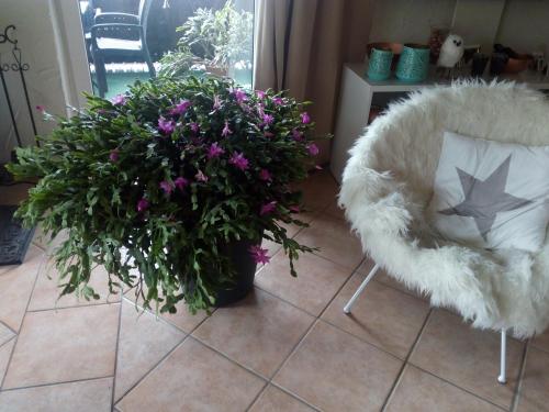 a white furry chair and flowers on a tile floor at Landhotel Alte Mühle in Modautal