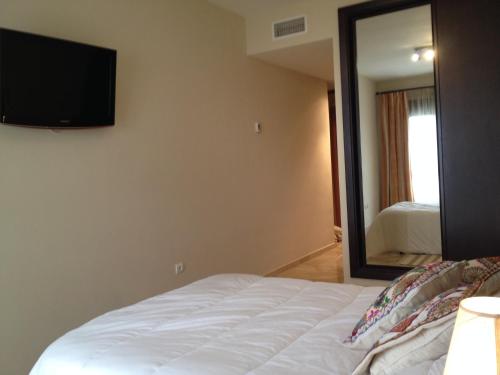 ロンダにあるTu hogar en Ronda, la Ciudad Soñadaのベッドルーム1室(ベッド1台、壁掛けテレビ付)