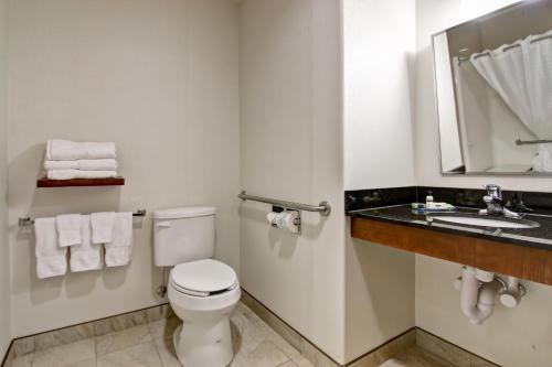 a bathroom with a white toilet and a sink at Canalta Selkirk in Selkirk