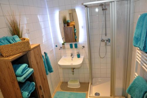 uma casa de banho com um chuveiro, um lavatório e um chuveiro em Apartment an den Quellen em Wiesbaden