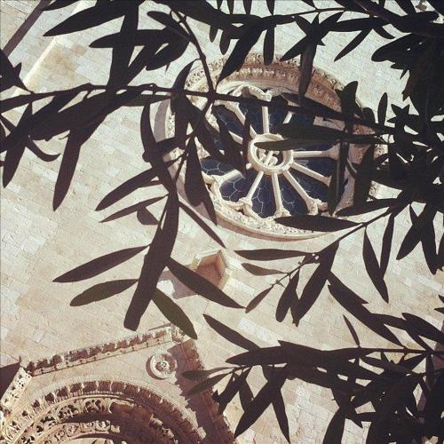 a close up of a building with a tree at B&b SAN LORENZO in Conversano