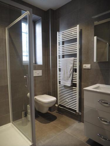 a bathroom with a toilet and a glass shower at Appartement place Golbéry in Strasbourg