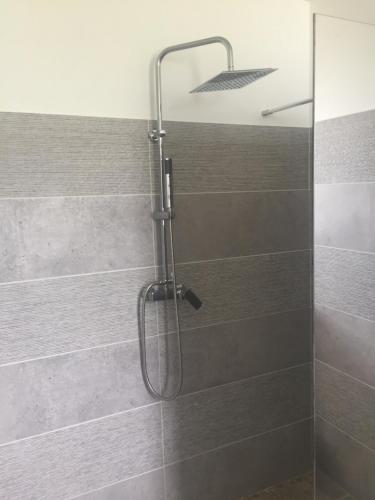 a shower with a shower head in a bathroom at Villa piscine Ribourgeon in Saint-Louis