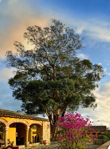 a tree in front of a building with pink flowers at Hotel Hacienda El Salitre in Paipa