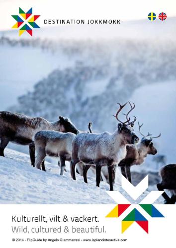 a group of reindeer standing in the snow at K167 in Kåbdalis