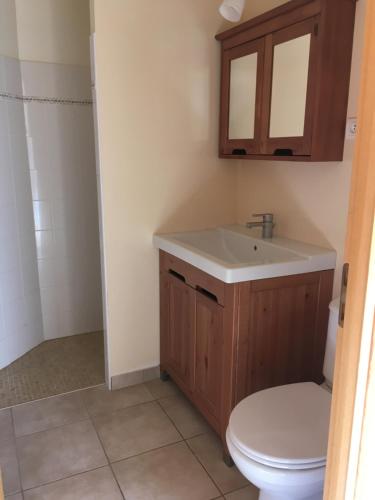 a bathroom with a toilet and a sink at villa chez marie Meuble tourisme 3 etoiles in Sari Solenzara