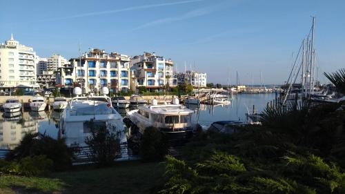 Gallery image of Portoverde Beach Apartments in Misano Adriatico
