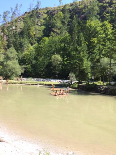 a group of people swimming in a body of water at FeWo Schlosspark Grubhof in Sankt Martin bei Lofer