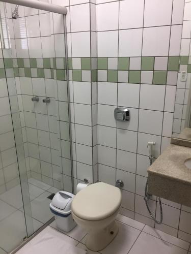a bathroom with a toilet and a shower at Primavera Palace Hotel in Nova Andradina