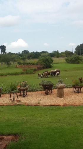 a group of cows grazing in a field with picnic tables at MyAula in Tierpoort