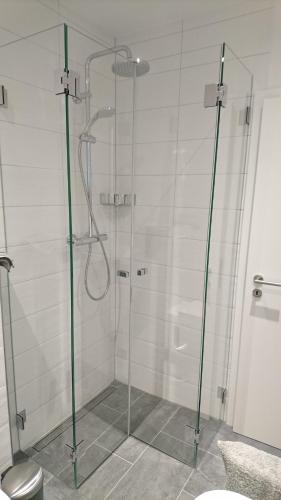 eine Dusche mit Glastür im Bad in der Unterkunft Casa Stetten in Lörrach