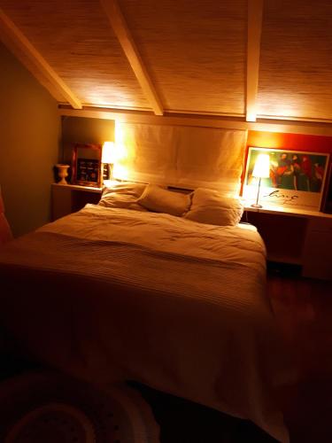 a bedroom with a large bed in a room at Voorhuis in Eelde-Paterswolde
