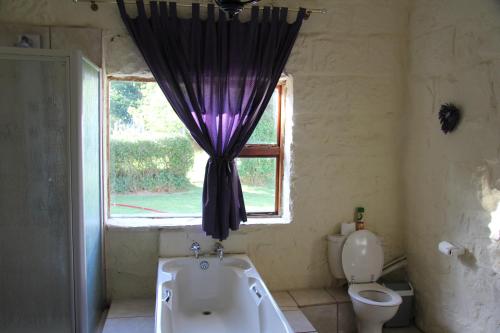Vonios kambarys apgyvendinimo įstaigoje Intaba Lodge
