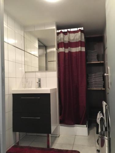 ein Badezimmer mit einem Waschbecken und einem roten Duschvorhang in der Unterkunft Au Mariafeld in Houssen