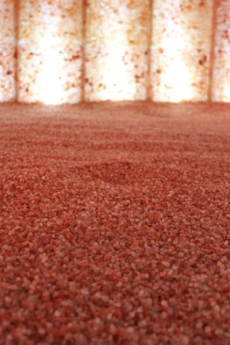 a room filled with lots of brown carpet at Hotel Residence Montelago in Ternate