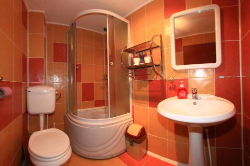 モイエチウ・デ・ジョスにあるPensiunea Ianis Moieciuのバスルーム(トイレ、洗面台、シャワー付)