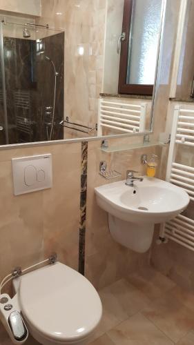La salle de bains est pourvue de toilettes blanches et d'un lavabo. dans l'établissement Grand View Apartment, à Braşov
