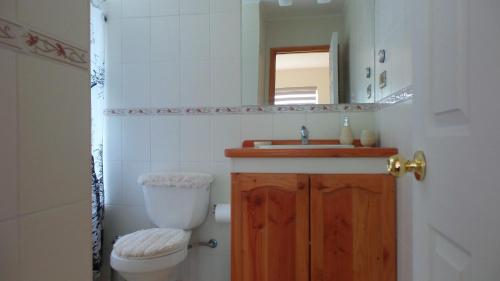 a bathroom with a toilet and a sink and a mirror at Acogedor Departamento en Zona Lacustre in Pucón