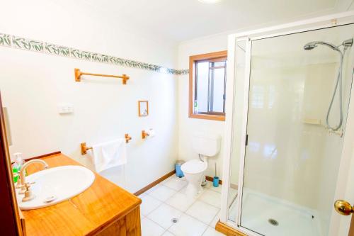 a bathroom with a shower and a sink and a toilet at Wisteria Cottage in Wyberba