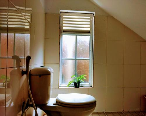a bathroom with a toilet and a window at Villa Two Residence in Mount Lavinia