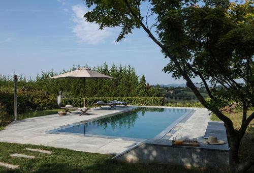 a swimming pool with an umbrella next to a yard at B&B Puntodivista in Chieri