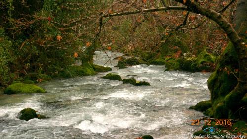 a stream of water with rocks and trees at Hotel Pelagos Studios in Platána