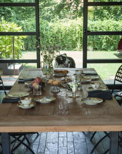 a wooden table with food and a dog sitting behind it at B&B Puntodivista in Chieri