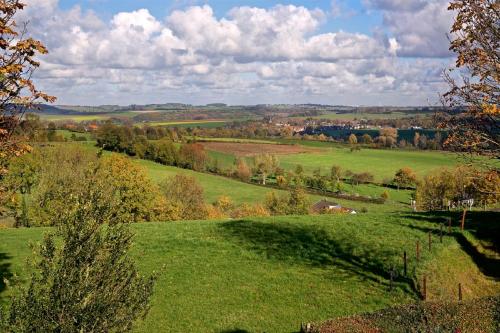 a green field with trees in the distance at Hotel Berghoeve in Epen