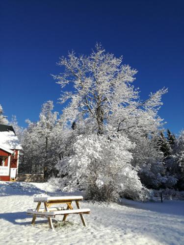 a wooden bench sitting in the snow next to a tree at Mieps Huset Dalarna Holiday in Kullen