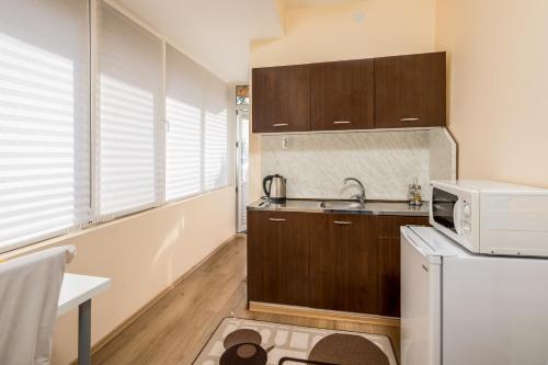 a small kitchen with a sink and a microwave at Apartments Ivadoni in Velingrad